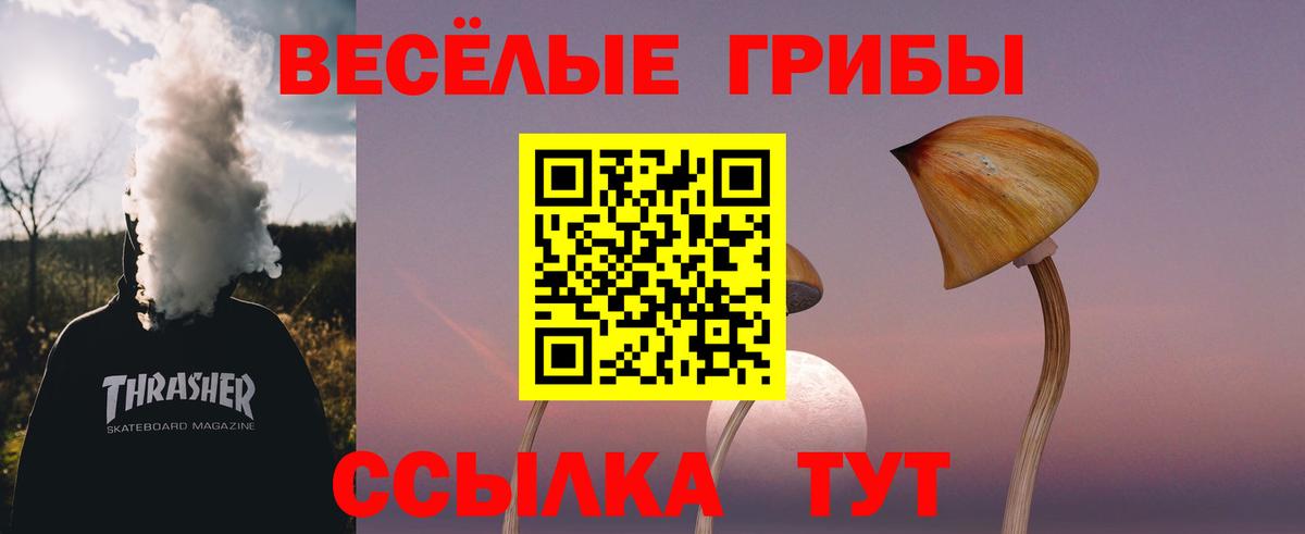 Псилоцибиновые грибы MAGIC MUSHROOMS  Вход с VPN  где купить наркоту  Донецк 